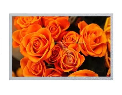 Επίδειξη οθόνης ταμπλετών LCD Ej101ia-01g 1280*800 10.1in κατάλληλη βιομηχανική επίδειξη